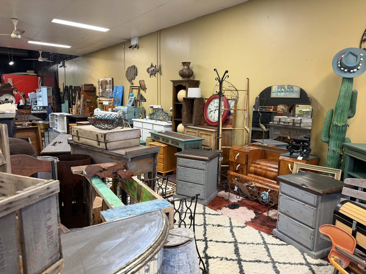 A long view of the shop floor with painted chests of drawers, a red wall clock, suitcases and a tall green cactus.